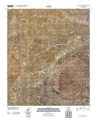 Pipeline Canyon New Mexico Historical topographic map, 1:24000 scale, 7.5 X 7.5 Minute, Year 2010