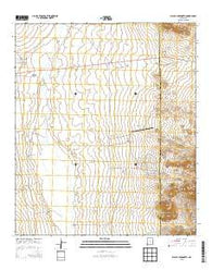 Playas Lake North New Mexico Historical topographic map, 1:24000 scale, 7.5 X 7.5 Minute, Year 2013