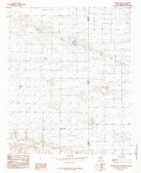 Pleasant Hill New Mexico Historical topographic map, 1:24000 scale, 7.5 X 7.5 Minute, Year 1985