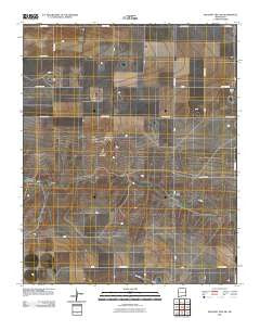 Pleasant Hill NW New Mexico Historical topographic map, 1:24000 scale, 7.5 X 7.5 Minute, Year 2010
