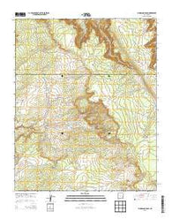 Plumasano Basin New Mexico Historical topographic map, 1:24000 scale, 7.5 X 7.5 Minute, Year 2013