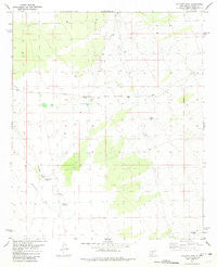 Polecat Tank New Mexico Historical topographic map, 1:24000 scale, 7.5 X 7.5 Minute, Year 1981