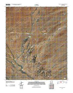 Polecat Tank New Mexico Historical topographic map, 1:24000 scale, 7.5 X 7.5 Minute, Year 2010