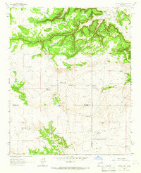 Potrillo Hill New Mexico Historical topographic map, 1:24000 scale, 7.5 X 7.5 Minute, Year 1963
