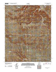 Potrillo Hill New Mexico Historical topographic map, 1:24000 scale, 7.5 X 7.5 Minute, Year 2010