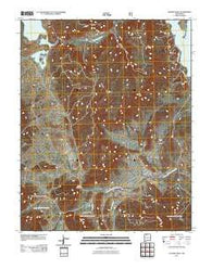 Pounds Mesa New Mexico Historical topographic map, 1:24000 scale, 7.5 X 7.5 Minute, Year 2011