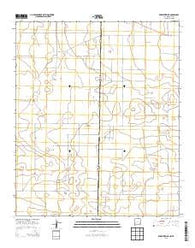 Prairieview NE New Mexico Historical topographic map, 1:24000 scale, 7.5 X 7.5 Minute, Year 2013