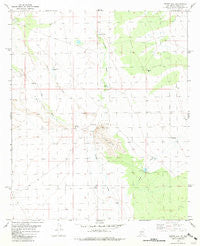 Prisor Hill New Mexico Historical topographic map, 1:24000 scale, 7.5 X 7.5 Minute, Year 1981
