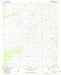 Prisor Well New Mexico Historical topographic map, 1:24000 scale, 7.5 X 7.5 Minute, Year 1981