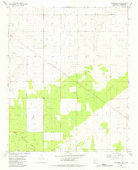 Progresso NE New Mexico Historical topographic map, 1:24000 scale, 7.5 X 7.5 Minute, Year 1981