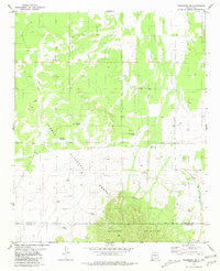 Progresso SE New Mexico Historical topographic map, 1:24000 scale, 7.5 X 7.5 Minute, Year 1981