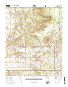 Progresso SW New Mexico Current topographic map, 1:24000 scale, 7.5 X 7.5 Minute, Year 2017