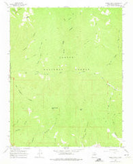 Pueblo Peak New Mexico Historical topographic map, 1:24000 scale, 7.5 X 7.5 Minute, Year 1965