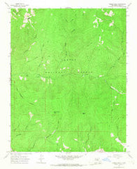 Pueblo Peak New Mexico Historical topographic map, 1:24000 scale, 7.5 X 7.5 Minute, Year 1965