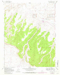 Pueblo Pintado New Mexico Historical topographic map, 1:24000 scale, 7.5 X 7.5 Minute, Year 1961