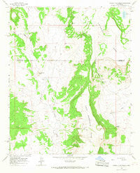 Pueblo Viejo Mesa New Mexico Historical topographic map, 1:24000 scale, 7.5 X 7.5 Minute, Year 1964