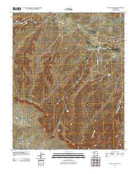 Pueblo Pintado New Mexico Historical topographic map, 1:24000 scale, 7.5 X 7.5 Minute, Year 2010