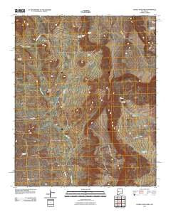 Pueblo Viejo Mesa New Mexico Historical topographic map, 1:24000 scale, 7.5 X 7.5 Minute, Year 2010