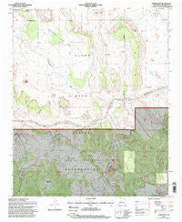 Puertecito New Mexico Historical topographic map, 1:24000 scale, 7.5 X 7.5 Minute, Year 1995