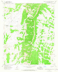 Puerto De Los Cavadores New Mexico Historical topographic map, 1:24000 scale, 7.5 X 7.5 Minute, Year 1964
