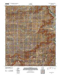 Puerto Creek New Mexico Historical topographic map, 1:24000 scale, 7.5 X 7.5 Minute, Year 2010