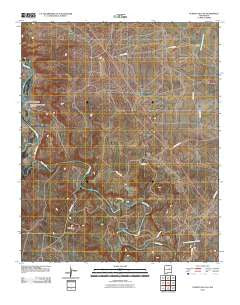 Puerto De Luna New Mexico Historical topographic map, 1:24000 scale, 7.5 X 7.5 Minute, Year 2010