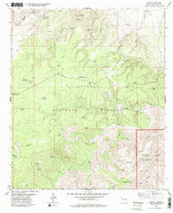 Queen New Mexico Historical topographic map, 1:24000 scale, 7.5 X 7.5 Minute, Year 1979