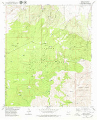 Queen New Mexico Historical topographic map, 1:24000 scale, 7.5 X 7.5 Minute, Year 1979