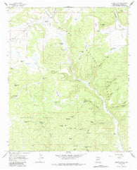 Queens Head New Mexico Historical topographic map, 1:24000 scale, 7.5 X 7.5 Minute, Year 1965