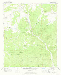 Queens Head New Mexico Historical topographic map, 1:24000 scale, 7.5 X 7.5 Minute, Year 1965