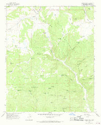 Queens Head New Mexico Historical topographic map, 1:24000 scale, 7.5 X 7.5 Minute, Year 1965