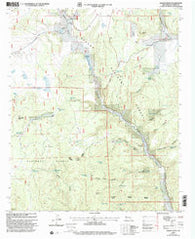 Queens Head New Mexico Historical topographic map, 1:24000 scale, 7.5 X 7.5 Minute, Year 1999