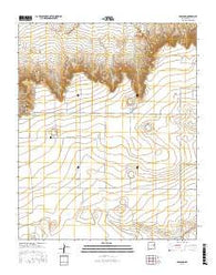 Ragland New Mexico Current topographic map, 1:24000 scale, 7.5 X 7.5 Minute, Year 2017