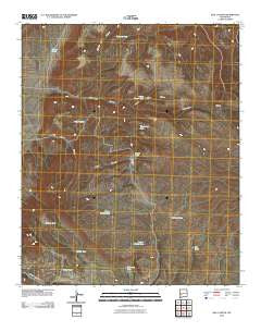 Rail Canyon New Mexico Historical topographic map, 1:24000 scale, 7.5 X 7.5 Minute, Year 2010