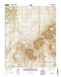 Rayo Hills New Mexico Historical topographic map, 1:24000 scale, 7.5 X 7.5 Minute, Year 2013