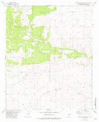 Red Bluff Draw East New Mexico Historical topographic map, 1:24000 scale, 7.5 X 7.5 Minute, Year 1981