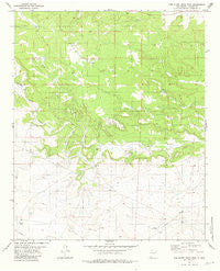 Red Bluff Draw West New Mexico Historical topographic map, 1:24000 scale, 7.5 X 7.5 Minute, Year 1981