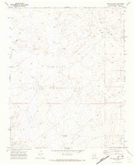 Red Lake Well New Mexico Historical topographic map, 1:24000 scale, 7.5 X 7.5 Minute, Year 1970