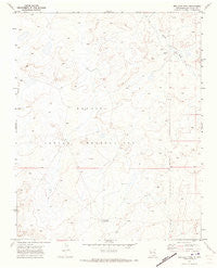 Red Lake Well New Mexico Historical topographic map, 1:24000 scale, 7.5 X 7.5 Minute, Year 1970