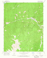 Red River New Mexico Historical topographic map, 1:24000 scale, 7.5 X 7.5 Minute, Year 1963