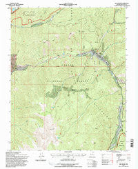 Red River New Mexico Historical topographic map, 1:24000 scale, 7.5 X 7.5 Minute, Year 1995