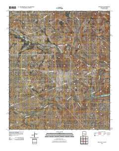 Red Bluff New Mexico Historical topographic map, 1:24000 scale, 7.5 X 7.5 Minute, Year 2010