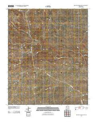 Red Bluff Draw East New Mexico Historical topographic map, 1:24000 scale, 7.5 X 7.5 Minute, Year 2010