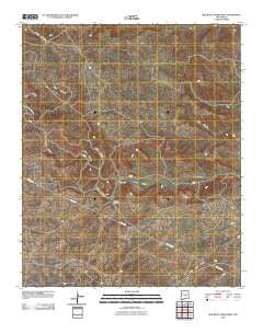 Red Bluff Draw West New Mexico Historical topographic map, 1:24000 scale, 7.5 X 7.5 Minute, Year 2010