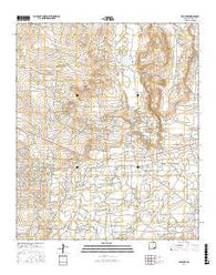 Red Lake New Mexico Current topographic map, 1:24000 scale, 7.5 X 7.5 Minute, Year 2017
