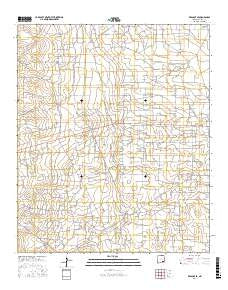 Red Lake SE New Mexico Current topographic map, 1:24000 scale, 7.5 X 7.5 Minute, Year 2017
