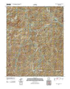 Red Lake Well New Mexico Historical topographic map, 1:24000 scale, 7.5 X 7.5 Minute, Year 2010