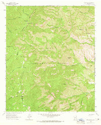 Reeds Peak New Mexico Historical topographic map, 1:24000 scale, 7.5 X 7.5 Minute, Year 1963