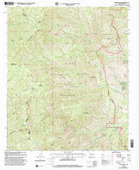 Reeds Peak New Mexico Historical topographic map, 1:24000 scale, 7.5 X 7.5 Minute, Year 1999