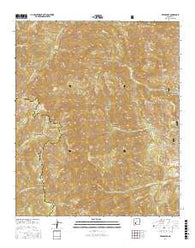 Reeds Peak New Mexico Current topographic map, 1:24000 scale, 7.5 X 7.5 Minute, Year 2017